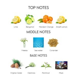 website 6